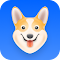 Corgi AI - あなたの言語教師 アイコン画像