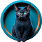 Catch the Cat Game アイコン画像